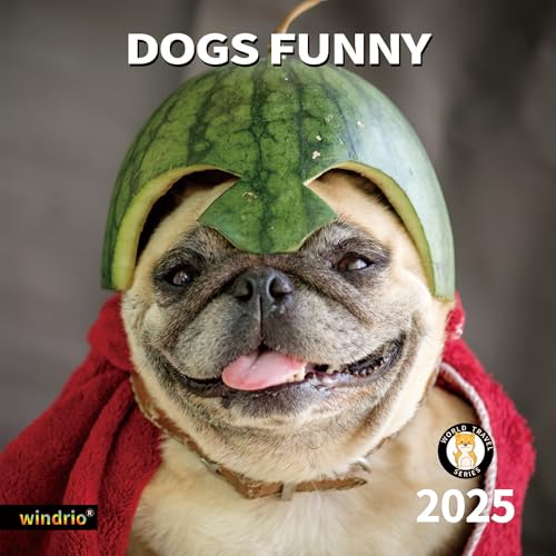 Dogs Funny