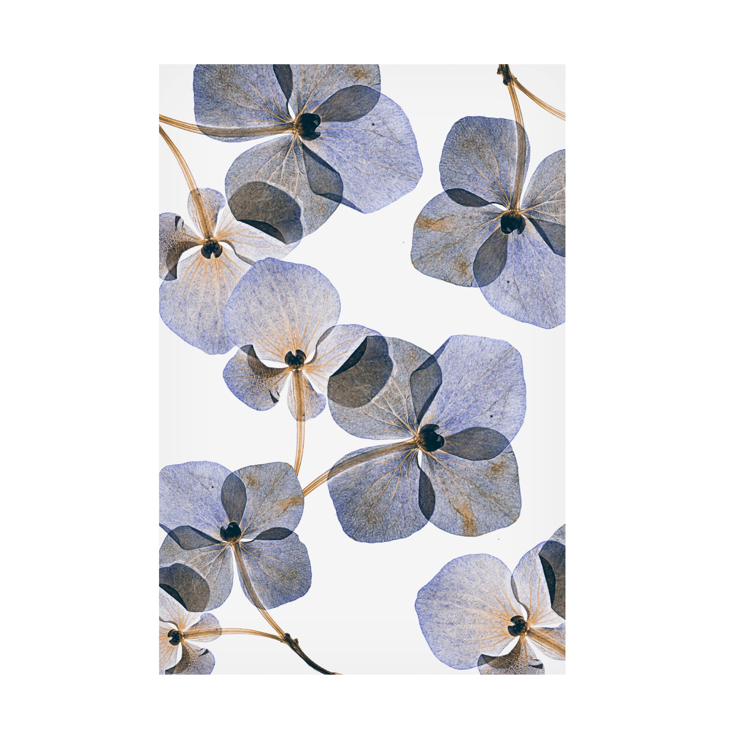Lenka's 'Botanical 37' Floral Canvas Wall Art Print - Modern Home Decor for Living Room, Bedroom & Office | Trademark Fine Art Collection