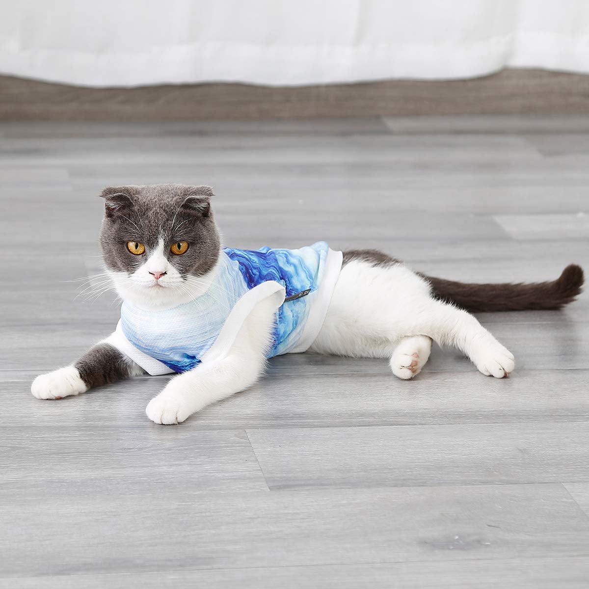 Dog Cooling Vest for Summer - Instant Cooling Pet Shirt & Harness for Small Dogs & Puppies (Medium) - Perfect for Outdoor Walks, Hiking & Hot Weather
