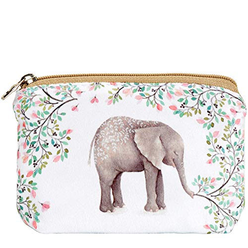 Forest Elephant