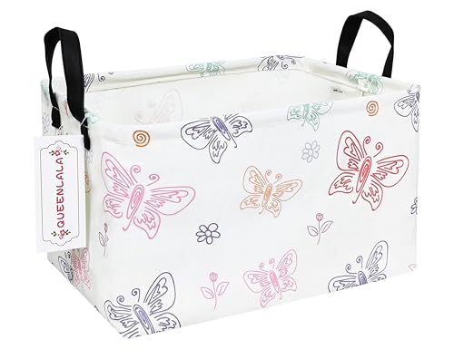 Rec-Colorful Butterfly