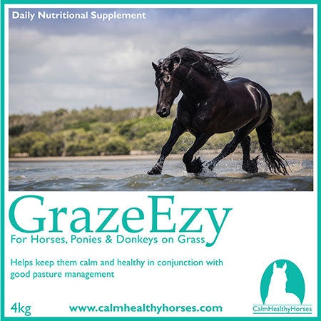 Calm Healthy Horses GrazeEzy 4kg - Natural Horse Calming Supplement for Anxiety & Stress Relief - Perfect for Pasture Grazing, Training & Show Days