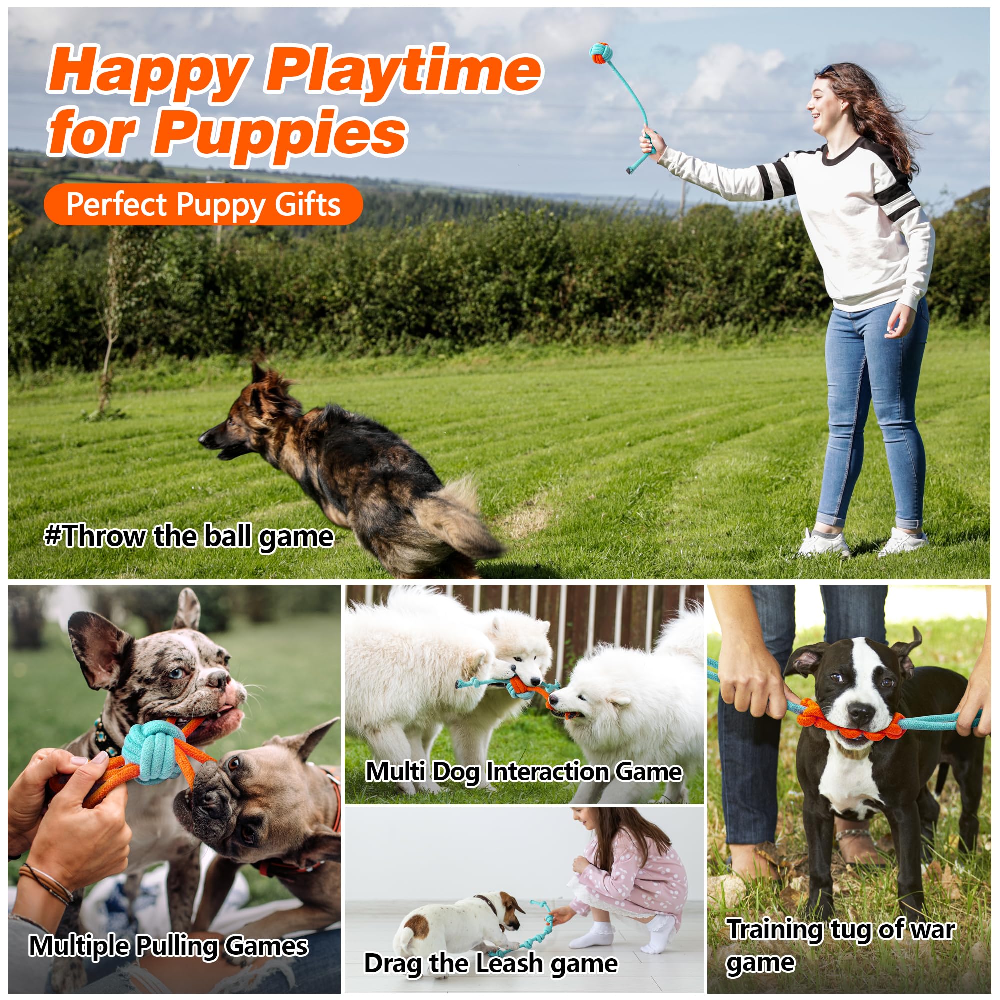 **Ystars 9-Piece Indestructible Puppy Chew Toys for Small to Medium Dogs (8-38 Weeks) – Teething Relief, Interactive Play, Tug of War – Perfect for Energetic Puppies & Training**    *(Ideal for teething puppies, playtime bonding, and energy release during training sessions!)*