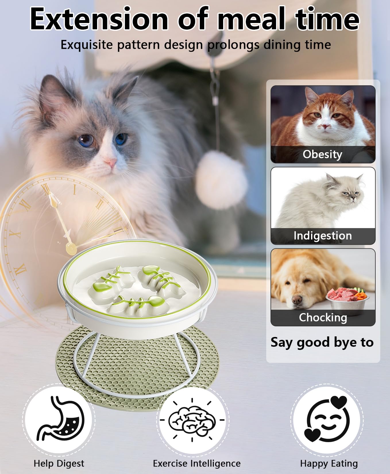 Elevated Slow Feeder Cat Bowl with Stand - Ceramic Pet Food Dish for Dogs & Cats - Anti-Bloat & Whisker Fatigue - Shallow Design Slows Eating - Easy to Clean - Perfect for Fast Eaters & Digestive Health (Home, Vet Clinic, Pet Daycare)
