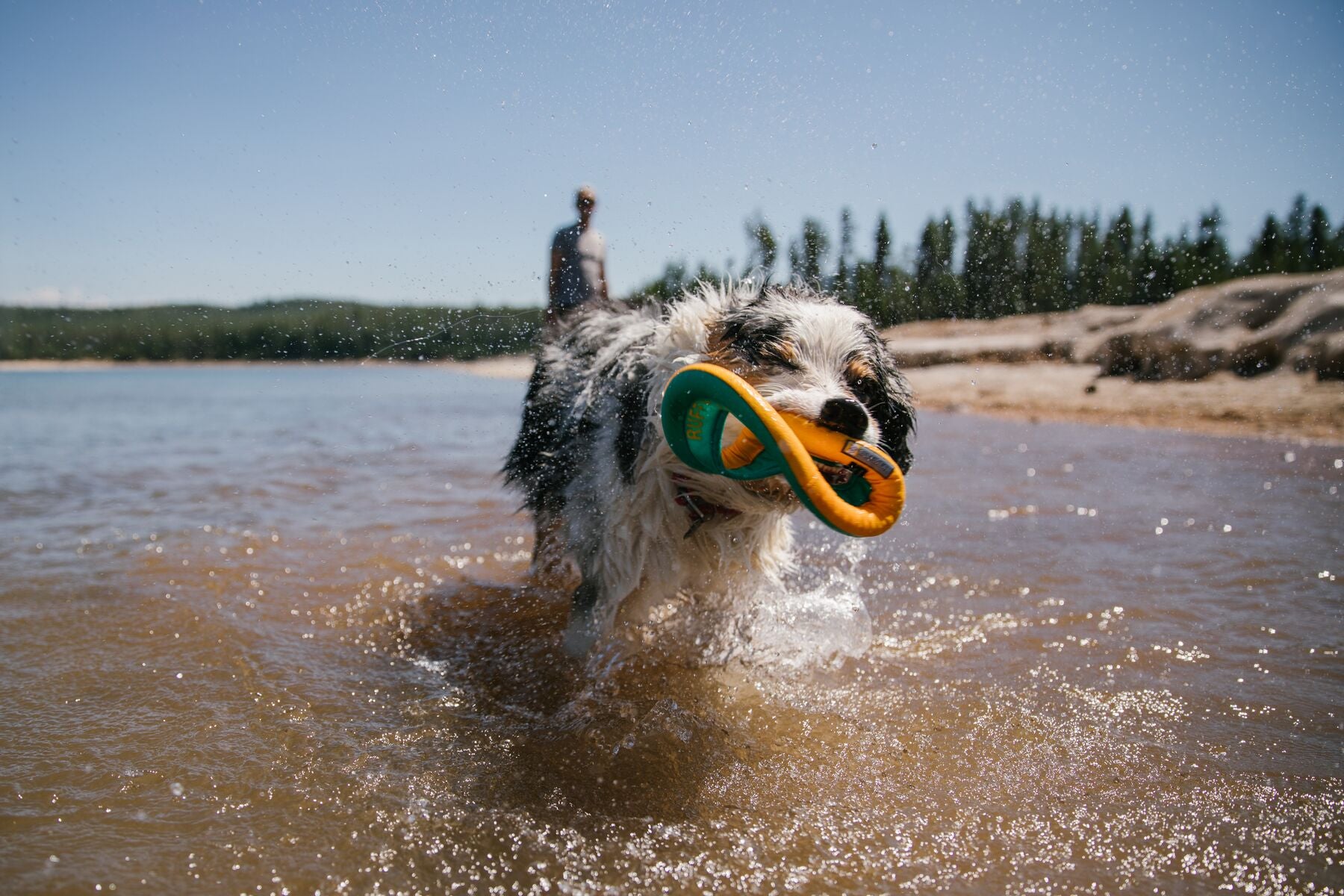 Hydro Plane™ Floating Dog Disc - Blue Aqua (Aurora Teal) - Waterproof Floating Fetch Toy for Dogs - Perfect for Pool, Beach & Lake Play by Ruffwear®