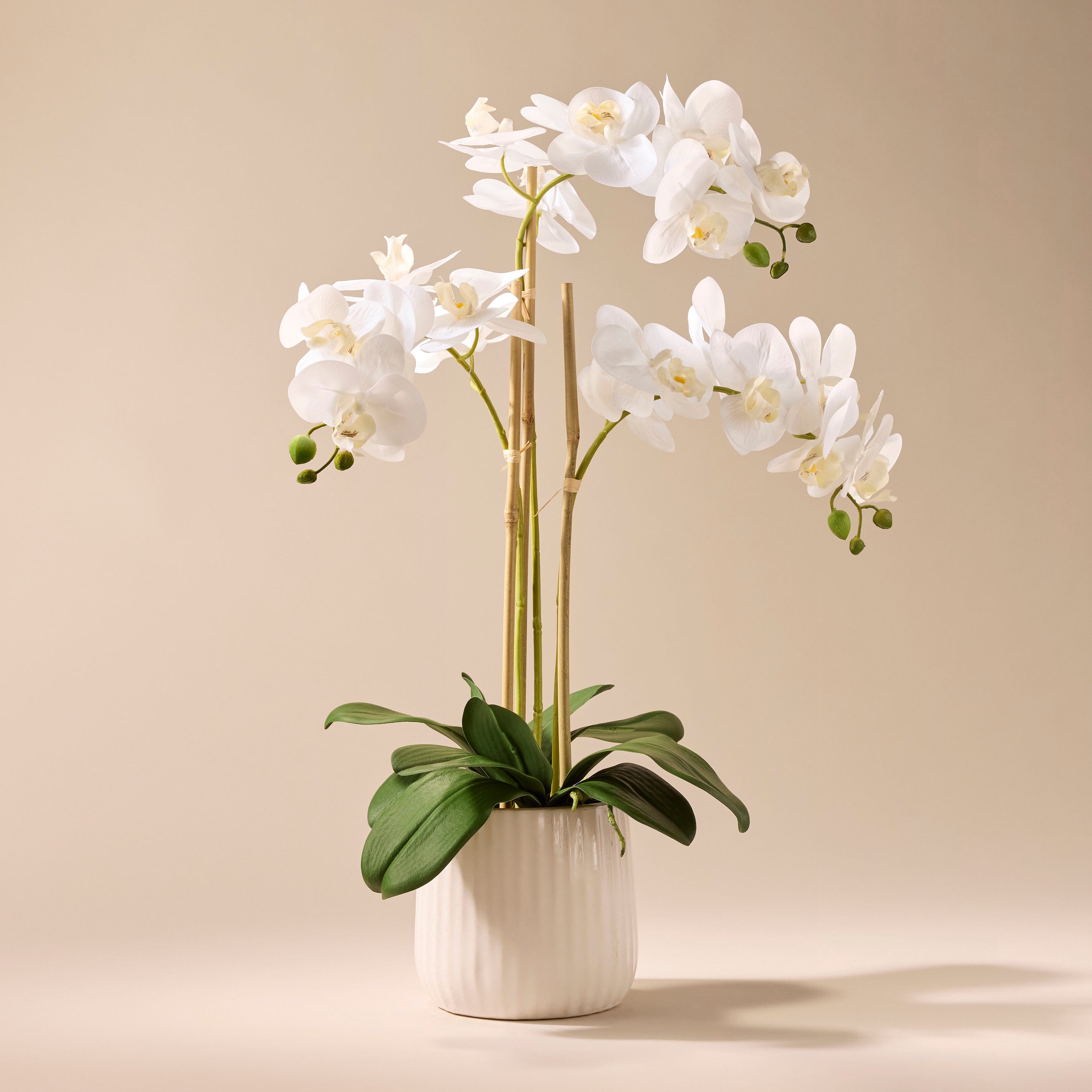 Artificial Butterfly Orchid in Ceramic Pot - 60cm Tall Home Decor for Living Room, Office & Wedding Centerpieces