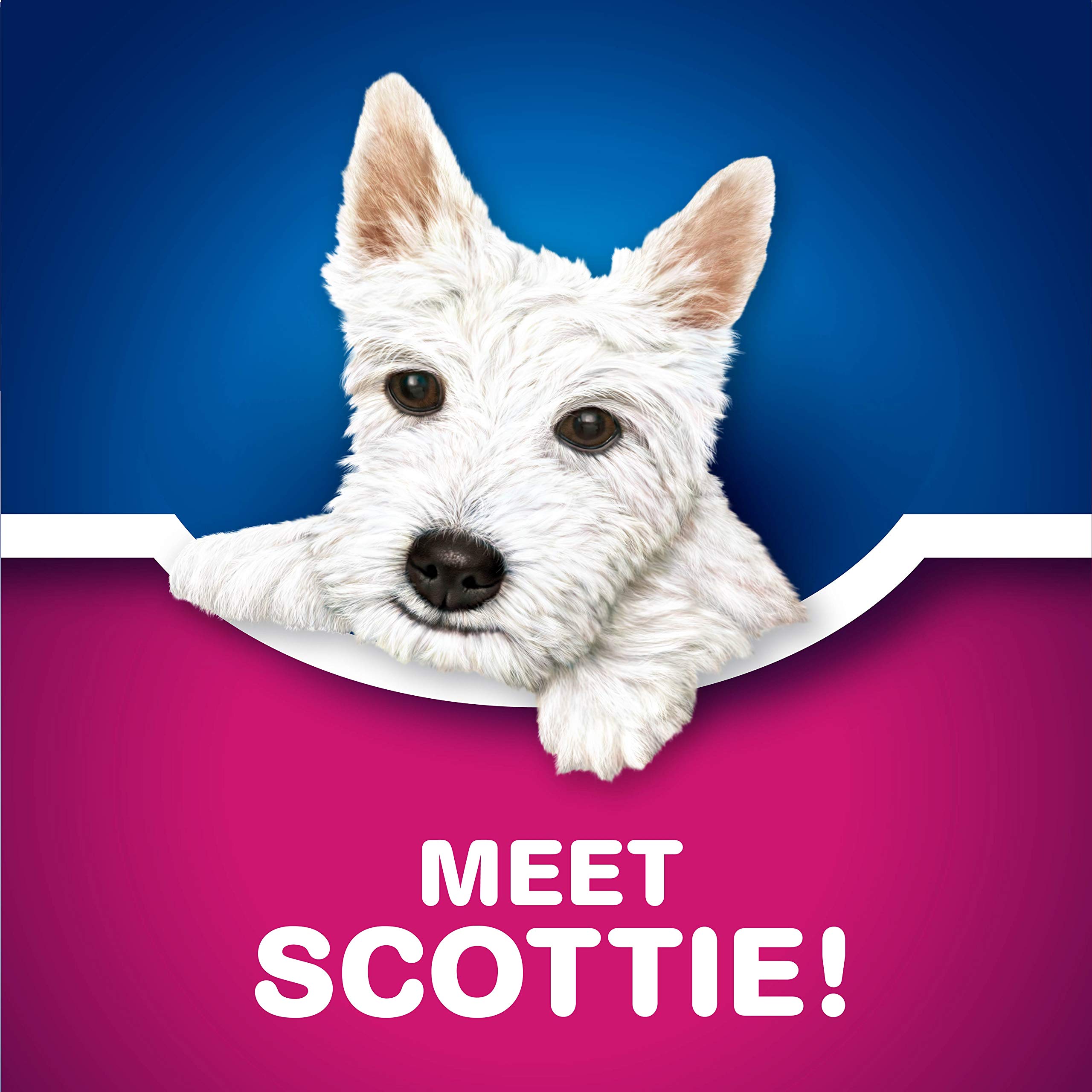 Scotties Supreme 3-Ply Facial Tissues, 88 Sheets per Box - 6 Pack | Soft & Strong for Home, Office & Travel | Hypoallergenic & Lotion-Free | Canadian Brand