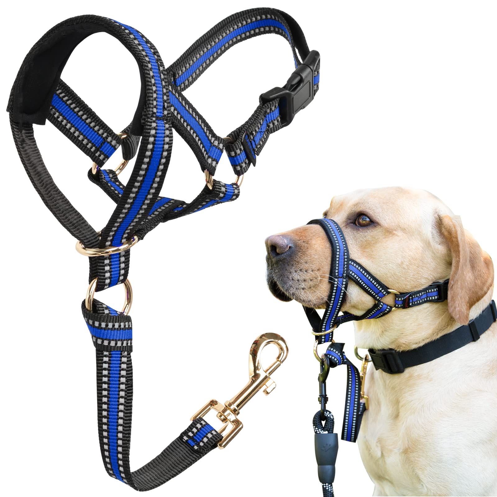 BARKLESS No Pull Dog Muzzle Leash - Adjustable Head Halter for Medium & Large Aggressive Dogs - Gentle Face Harness Stops Pulling & Choking - Stylish Blue Head Collar (Size M) - Perfect for Walking, Training & Controlling Strong Pullers Safely