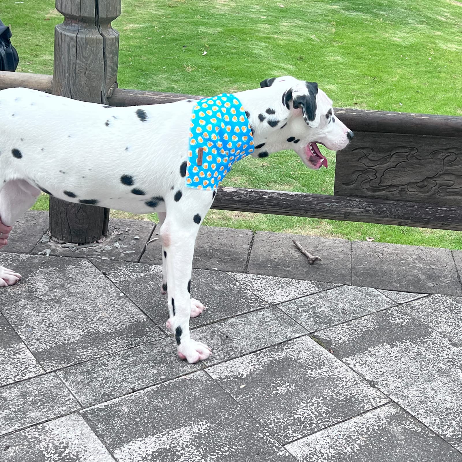 MR. CHUBBYFACE Reversible Blue Beer Dog Bandanas - Triangle Bib Scarf Accessory for Dogs & Cats - Perfect for Pet Parties, Holidays & Outdoor Adventures