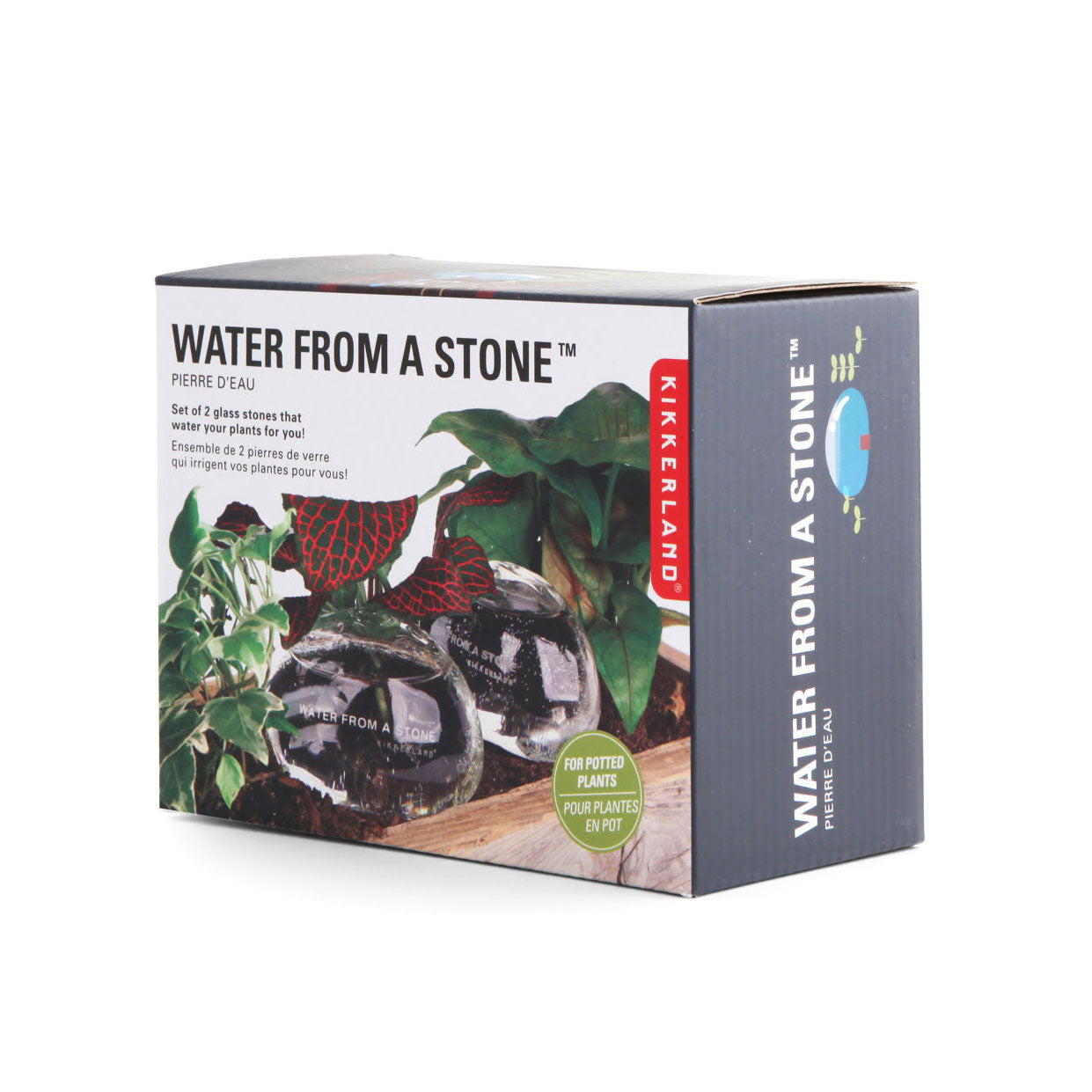 Water From A Stone - Natural Mineral Water Bottle for Hydration & Wellness | Perfect for Outdoor Adventures, Gym Workouts & Daily Hydration