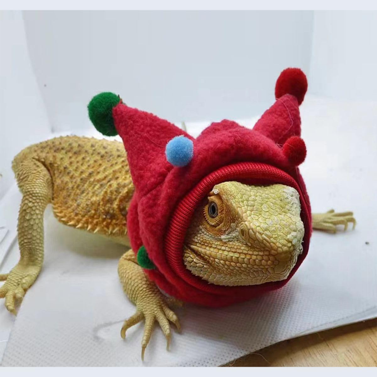 Festive Fleece Christmas Hat for Bearded Dragons & Lizards - Cozy Reptile Costume for Hamsters & Small Pets (Green) - Perfect for Holiday Photos & Pet Parties