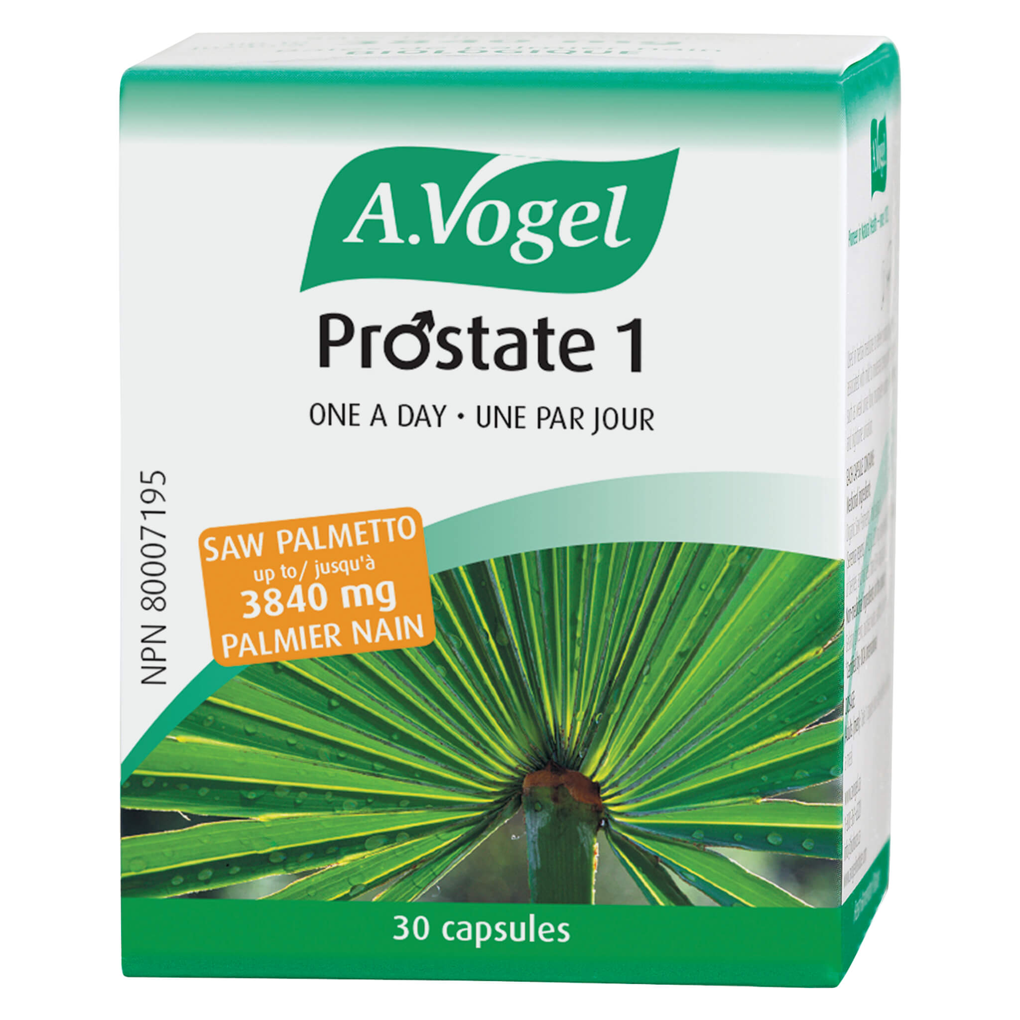 Prostate Health Supplement - Sabalasan One A Day Capsules for Men's Urinary & Prostate Support | Daily Wellness for Active Lifestyles