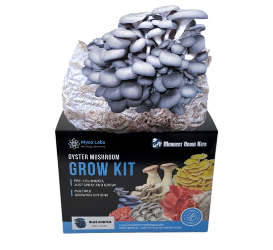 Premium Blue Oyster Mushroom Grow Kit (5lbs) - Midwest Grow Kits for Home Cultivation | Fresh Gourmet Mushrooms for Cooking, Gardening & Sustainable Living