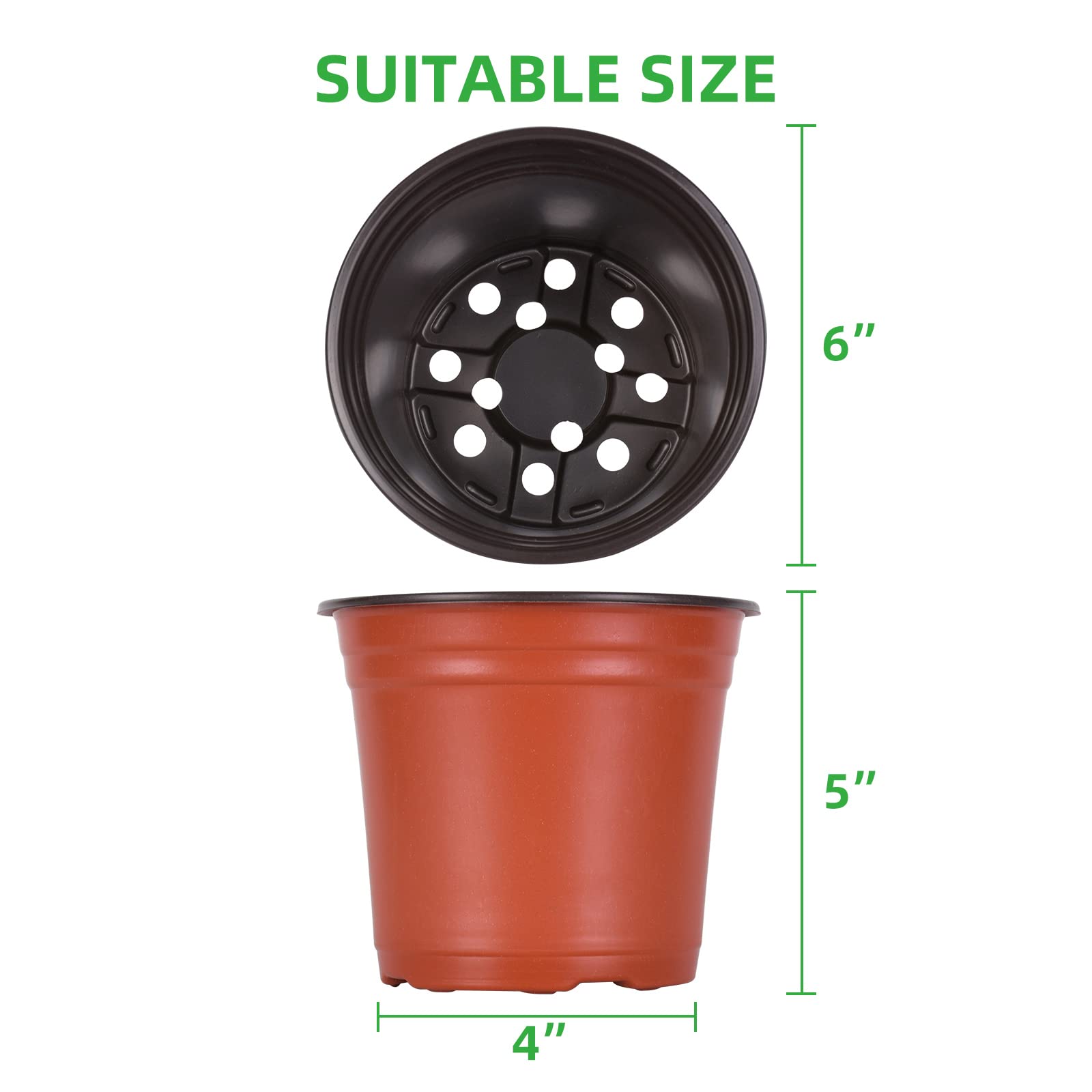 Kleeblatt 100-Pack 6 Inch Plastic Nursery Pots with 30 Plant Labels - Seedling Containers for Flowers, Herbs & Vegetables | Ideal for Indoor Gardening, Greenhouses & Home Plant Propagation