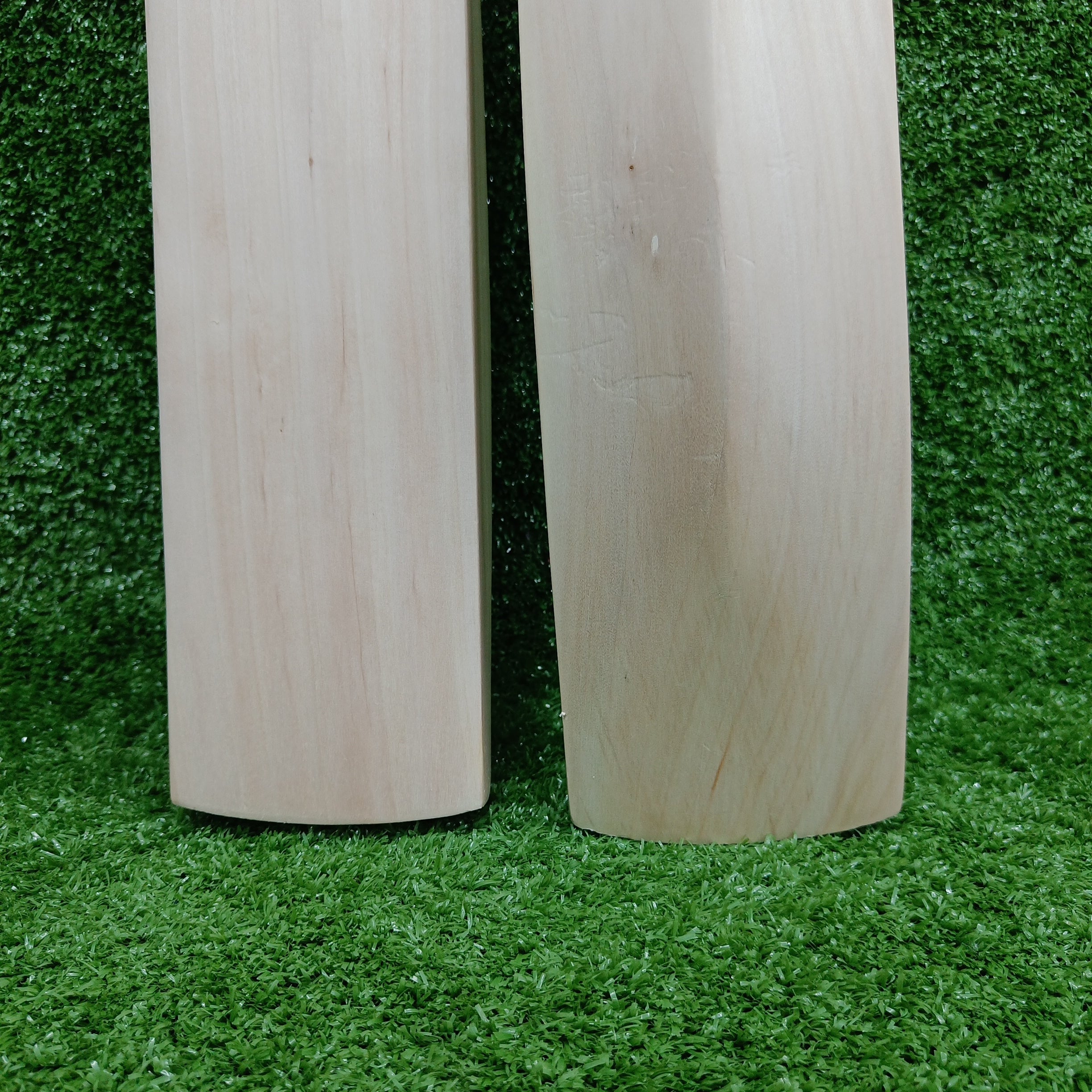 Premium Raydn Mongoose Kashmir Willow Adult Cricket Bat - Lightweight & Durable for Professional Matches & Practice Sessions