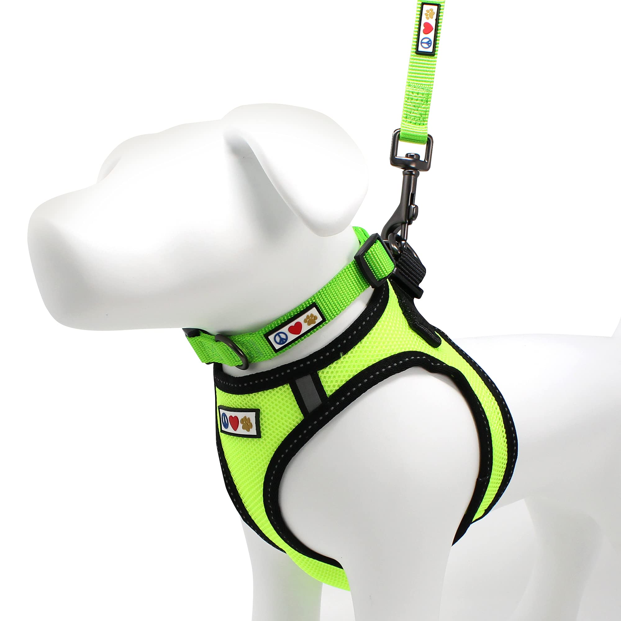 Pawtitas Value Bundle Set – Extra Large Reflective Mesh Dog Harness, Large Dog Collar & Medium/Large Dog Leash (Green) for Big Dogs | High Visibility Night Walking, Outdoor Adventures & Training