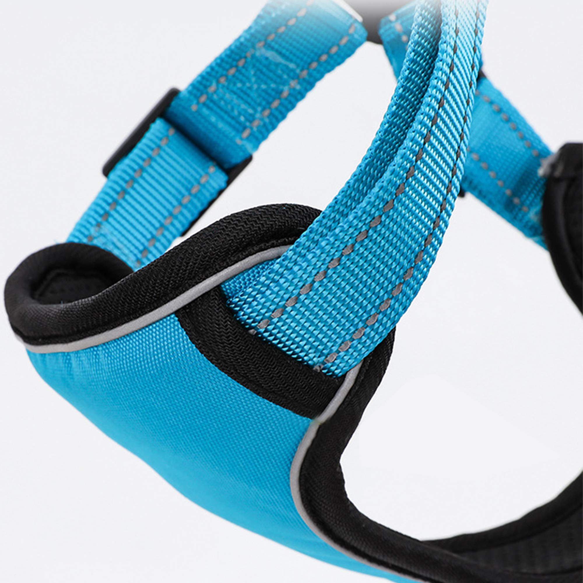 Adjustable Pet Harness for Dogs & Cats - Breathable Outdoor Safety Vest with Reflective Traction Rope - Perfect for Walking & Hiking