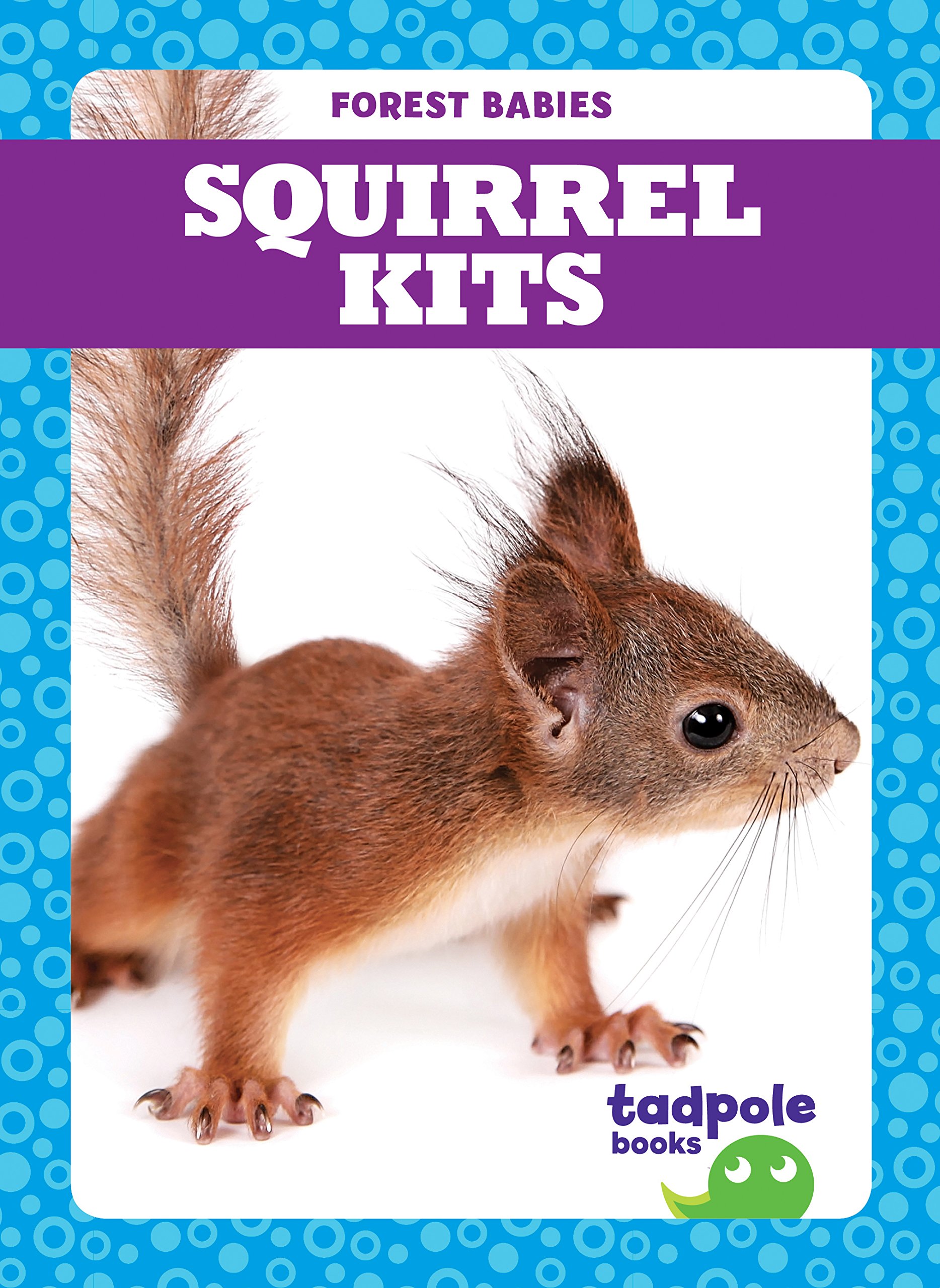 Squirrel Kits (Tadpole Books: Forest Babies) - Adorable Baby Squirrel Book for Kids Learning About Forest Animals - Perfect for Nature Education & Bedtime Reading