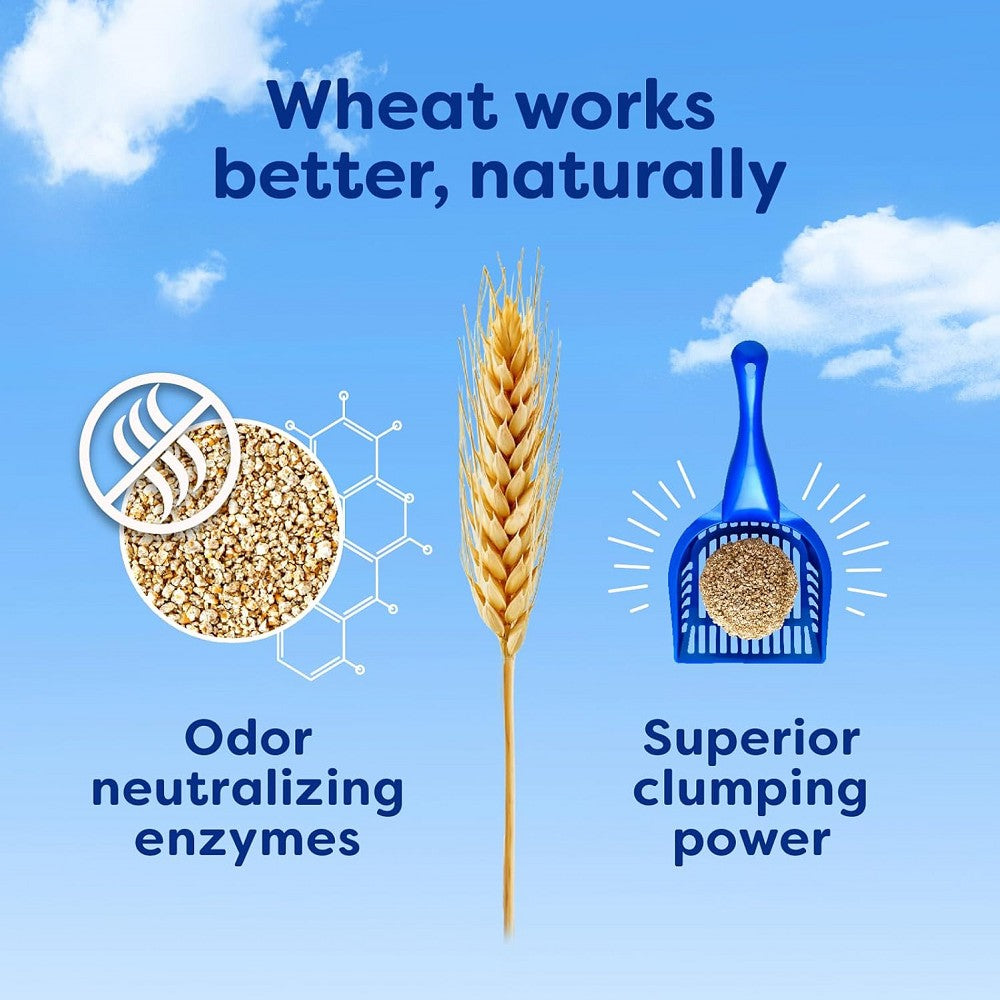 Eco-Friendly Multi-Cat sWheat Scoop Litter - Natural Wheat-Based Clumping Cat Litter for Odor Control - Ideal for Multi-Cat Households & Small Spaces