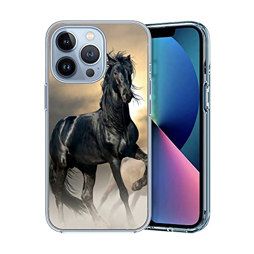 Black Horse Cool Animal Horse