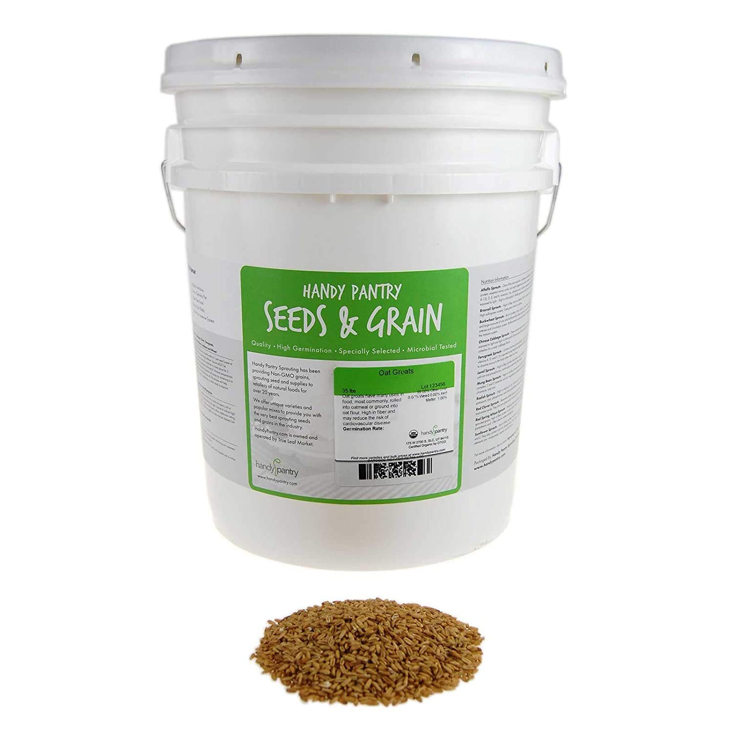 Organic Hulled Oat Groats - 30 Lbs Bulk - Whole Grain Oats with Hull Removed - Healthy Breakfast Cereal & Baking Ingredient - Perfect for Oatmeal, Granola, Bread & Long-Term Food Storage