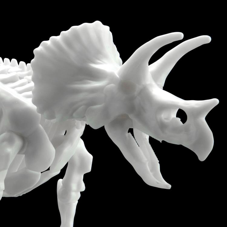 Bandai Dinosaur Limex Skeleton Triceratops Model Kit - Premium Build-Your-Own Dinosaur Fossil Replica for Collectors & Science Enthusiasts | Perfect for Home Decoration, Educational Display & STEM Learning Activities