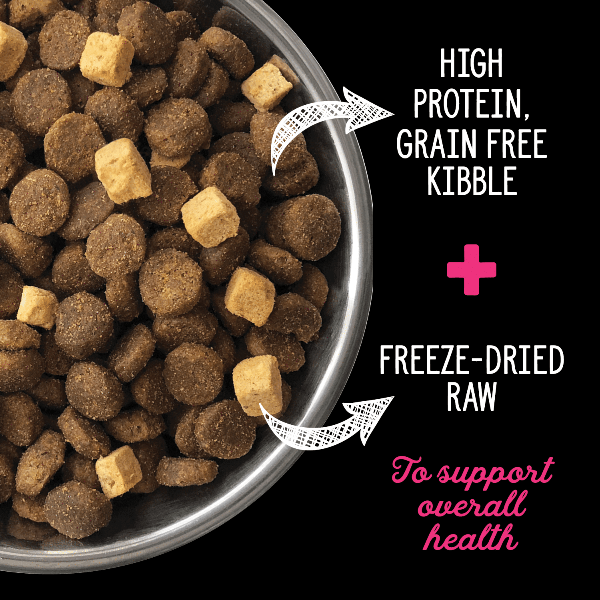 Nutrience SubZero Lamb & Pumpkin Limited Ingredient Dry Dog Food - Grain-Free, High-Protein for Sensitive Stomachs - Perfect for Adult Dogs with Allergies or Digestive Issues