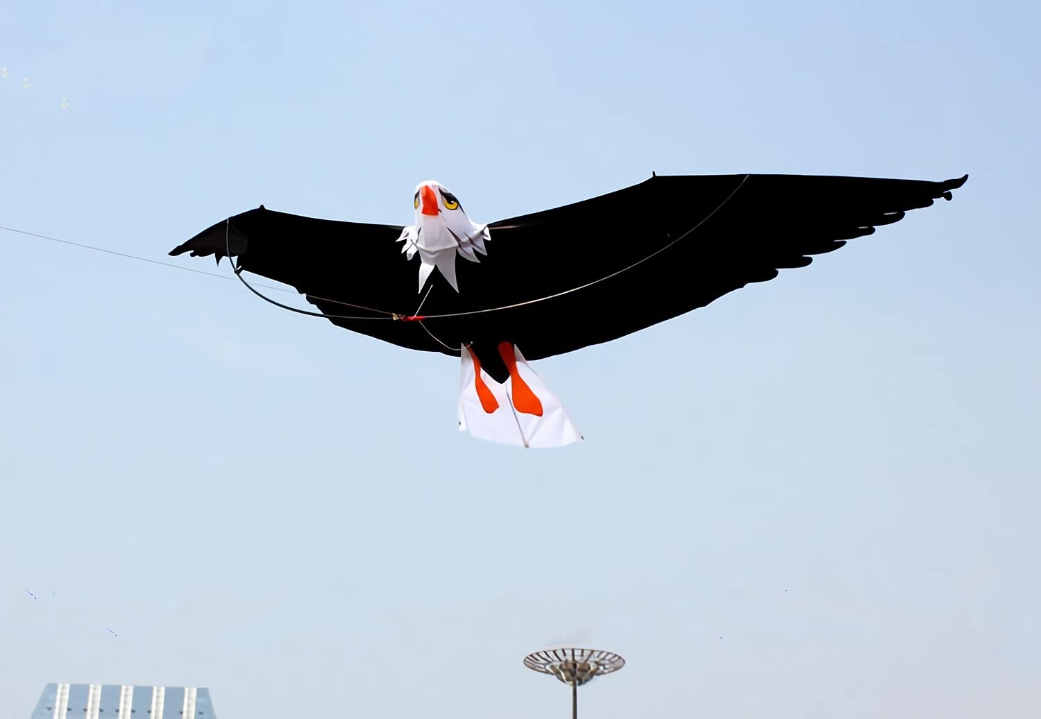 XIBEI Large 3D Eagle Kite - 78x27in Easy Flyer for Adults & Beginners - Single Line Kite for Strong/Light Winds - Fun Beach & Outdoor Activity Toy - Perfect for Parks, Picnics, and Family Bonding