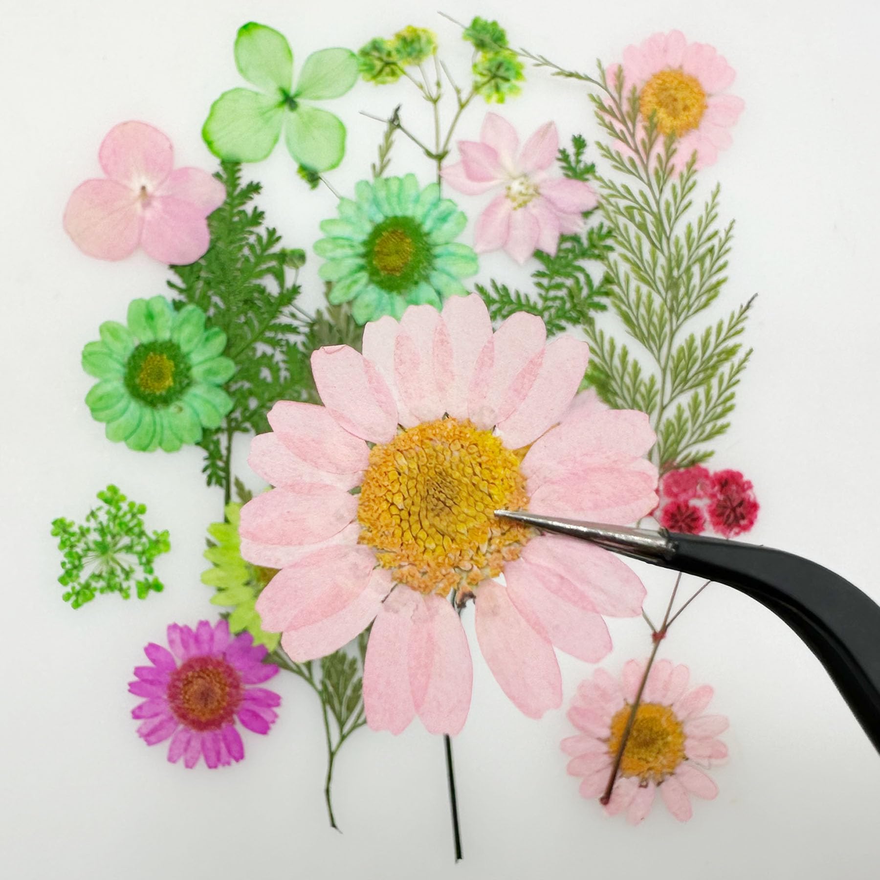 Woohome 126PCS Real Pressed Flowers Kit - Natural Dried Pressed Flowers for Resin Art, Nail Art, Scrapbooking, Candle & Jewelry Making - Premium Resin Craft Supplies for DIY Projects & Home Decor