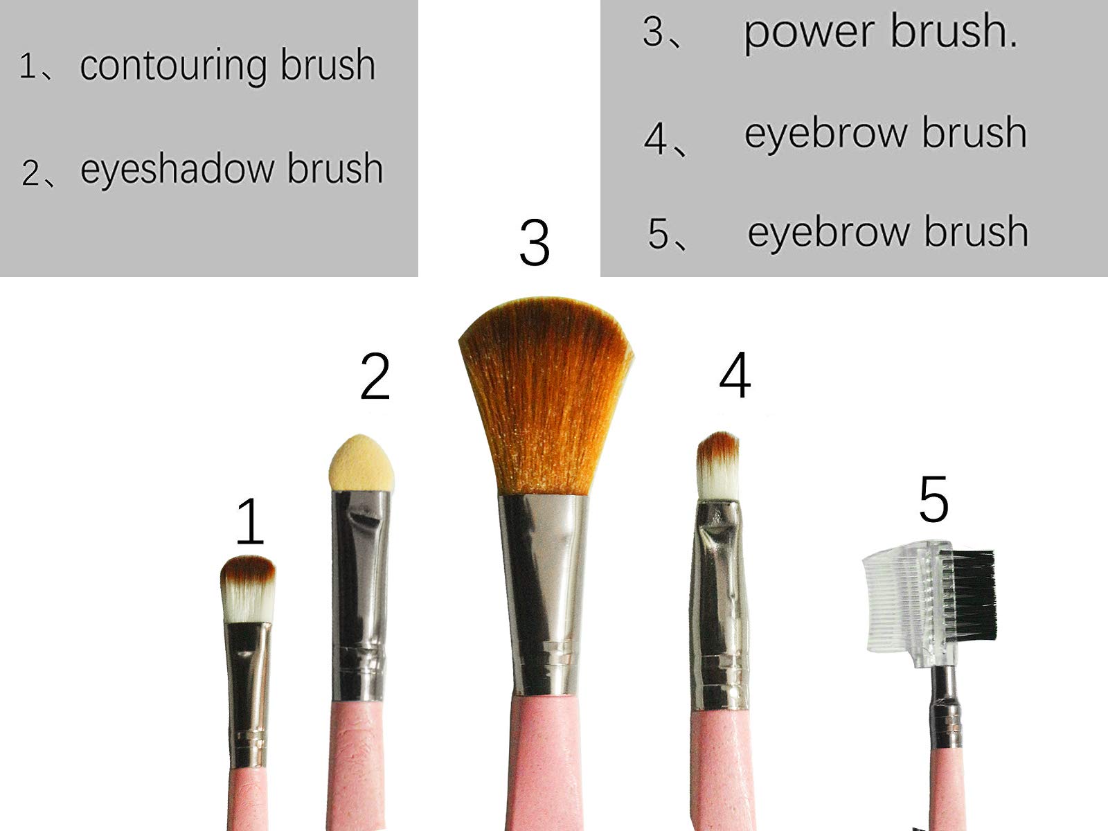 AyA Fashion Professional Makeup Brush Set for Women - 5 Piece Kit with Eyeshadow, Foundation, Eyebrow & Lip Brushes (Pink) | Perfect for Daily Makeup & Professional Makeup Artists