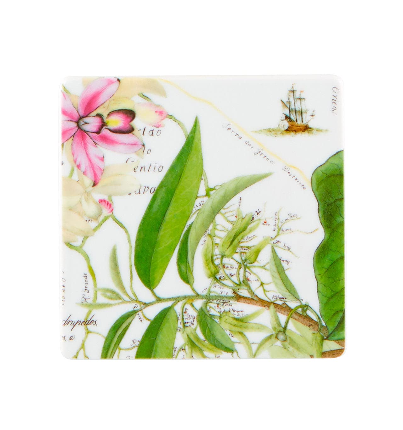 Vista Alegre Amazonia Set of 4 Absorbent Coasters - Tropical Leaf Design for Coffee Tables, Dining Tables & Home Decor