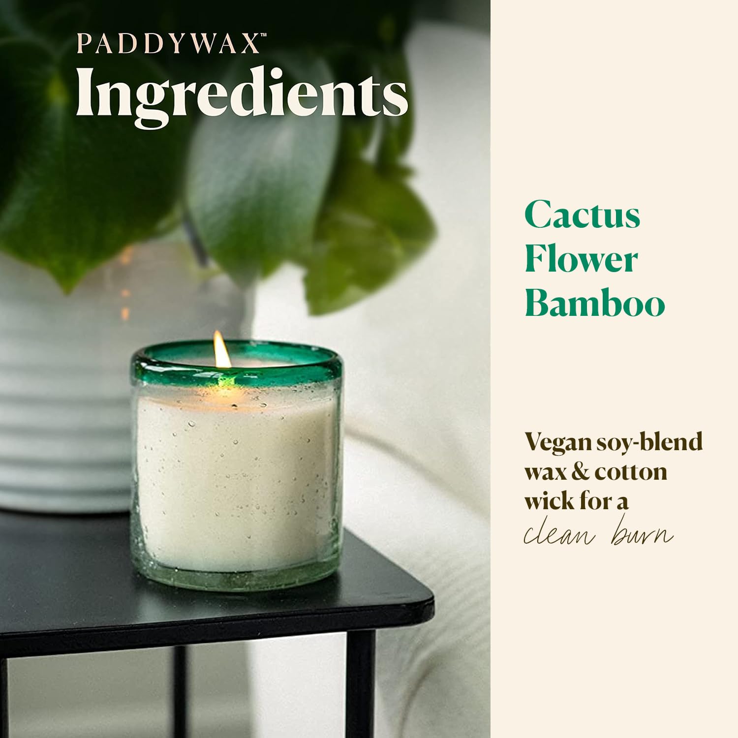 Paddywax Coastal La Playa Scented Candle - 9oz Hand-Blown Glass Artisan Candle with Cactus Flower & Bamboo Fragrance | Aromatherapy, Home Decor, Relaxation Gift for Beach House & Spa