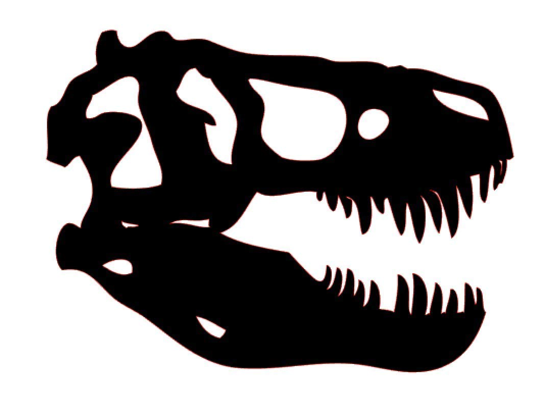 Custom Dinosaur Skull Vinyl Decal - Tyrannosaurus Bumper Sticker for Tumblers, Laptops, Car Windows - Choose Your Size & Color - Perfect for Home, Office, and Outdoor Adventures