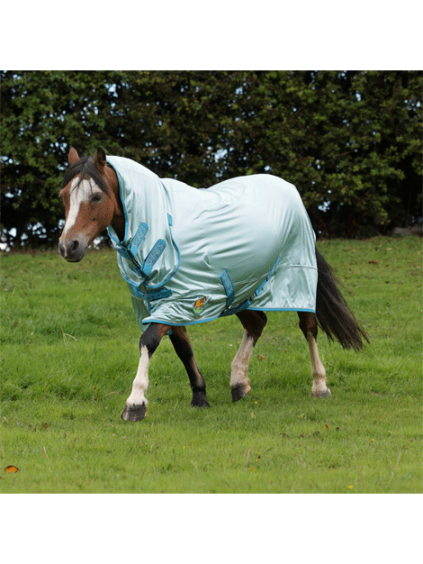 Shires Winnie and Me Fly Combo Rug - Lightweight Horse Fly Sheet with UV Protection - Perfect for Summer Riding, Trail Adventures, and Pasture Turnout