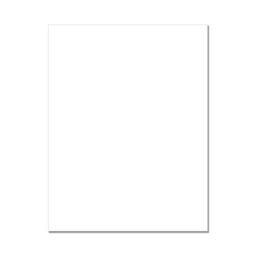Hero Hues Premium Cardstock Dove White (25)