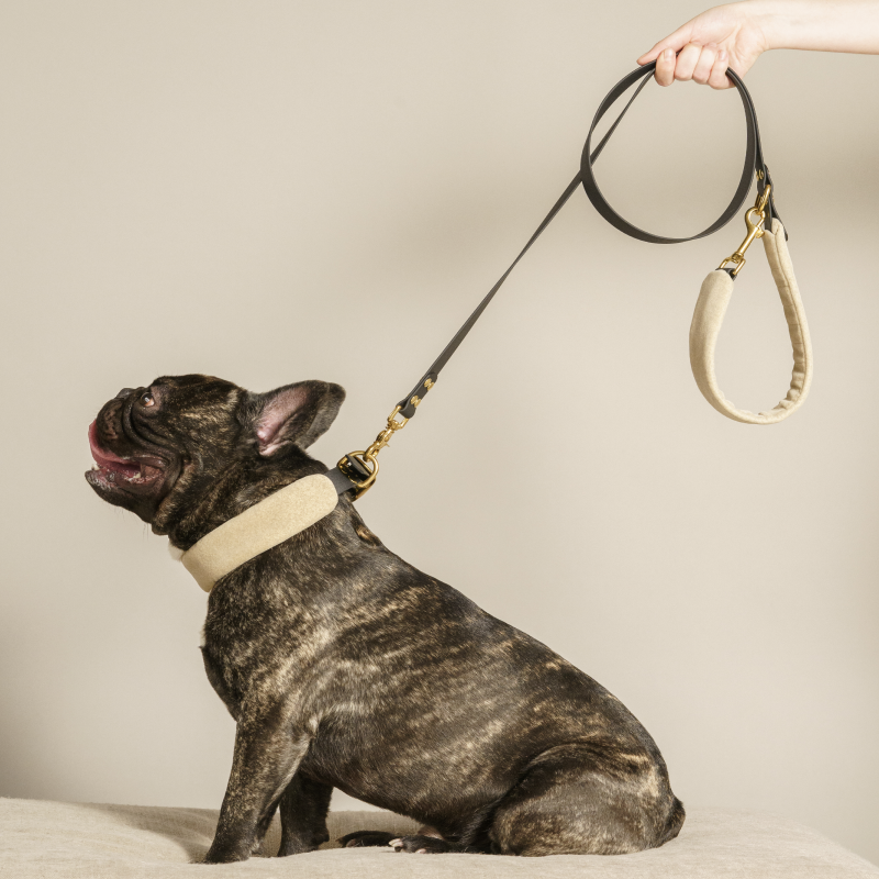 Premium Biothane Dog Leash with Padded Handle - Durable, Waterproof, and Odor-Resistant for Training, Walking, and Outdoor Adventures
