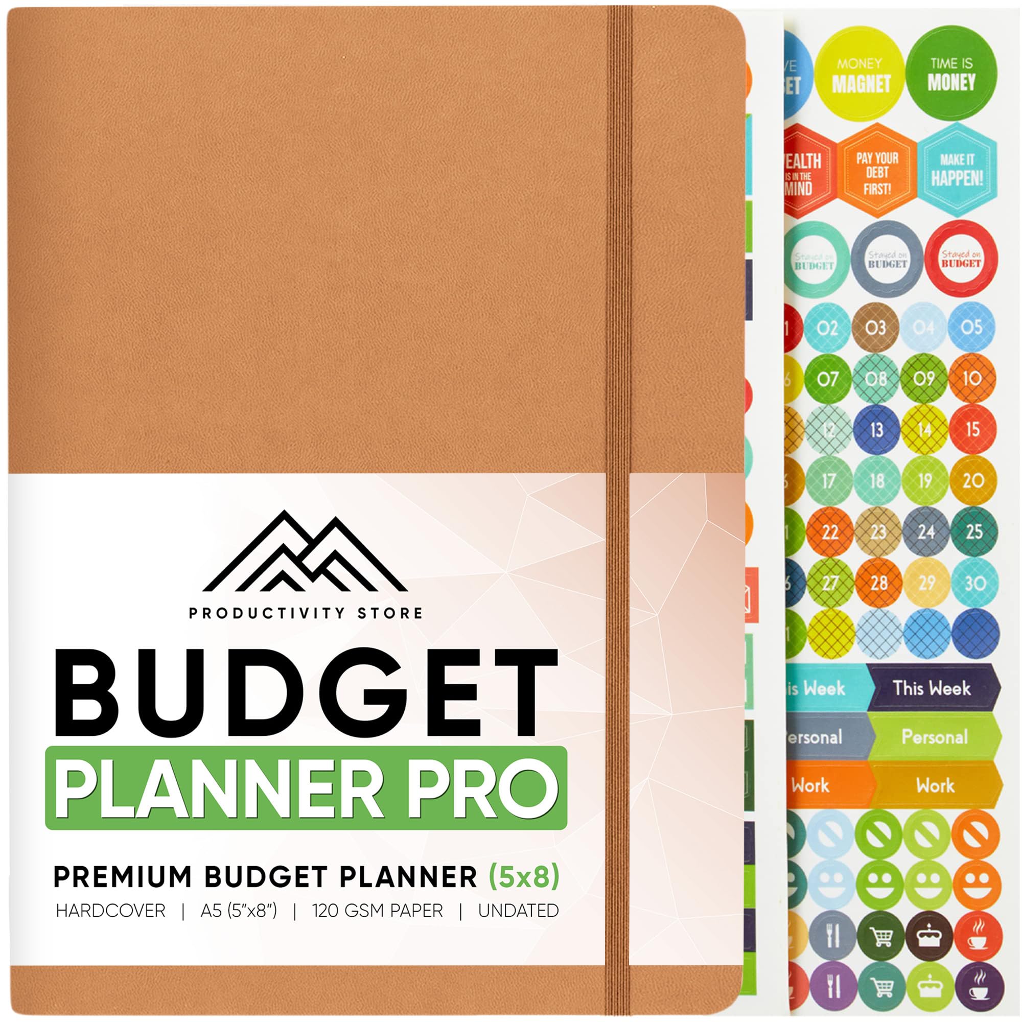 2025 Budget Planner & Finance Organizer - 12-Month Monthly Bill Tracker with Savings, Debt & Expense Management | Includes Budget Stickers | Premium Leather Cover | Perfect for Personal Finance, College Students & Home Budgeting