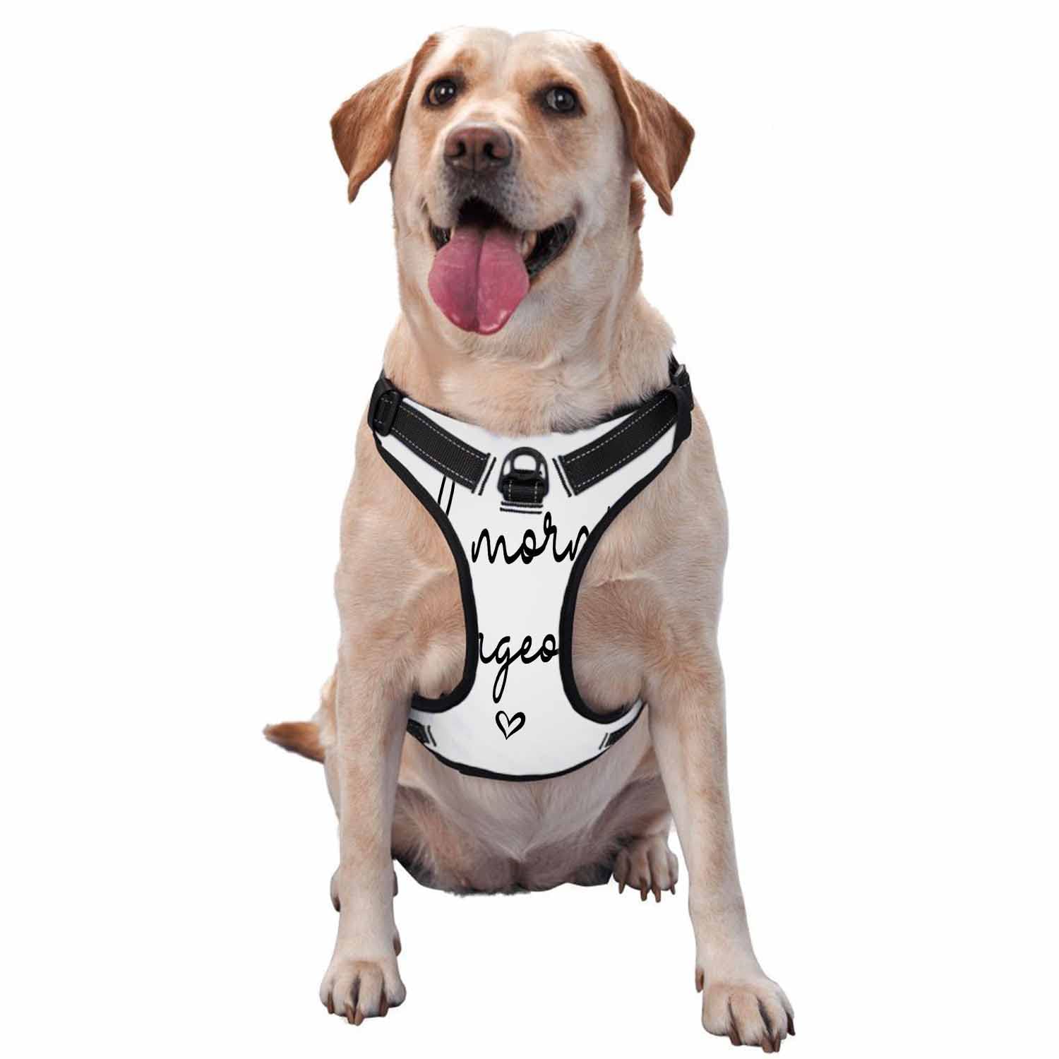 Zaueky Spinning Paint No Pull Dog Harness - Adjustable Comfort Vest with Leash for Small Dogs & Puppies (Size S) - Modern Abstract Watercolor Design - Perfect for Walks, Training & Outdoor Adventures