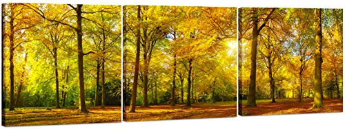 5240 - Autumn Forest