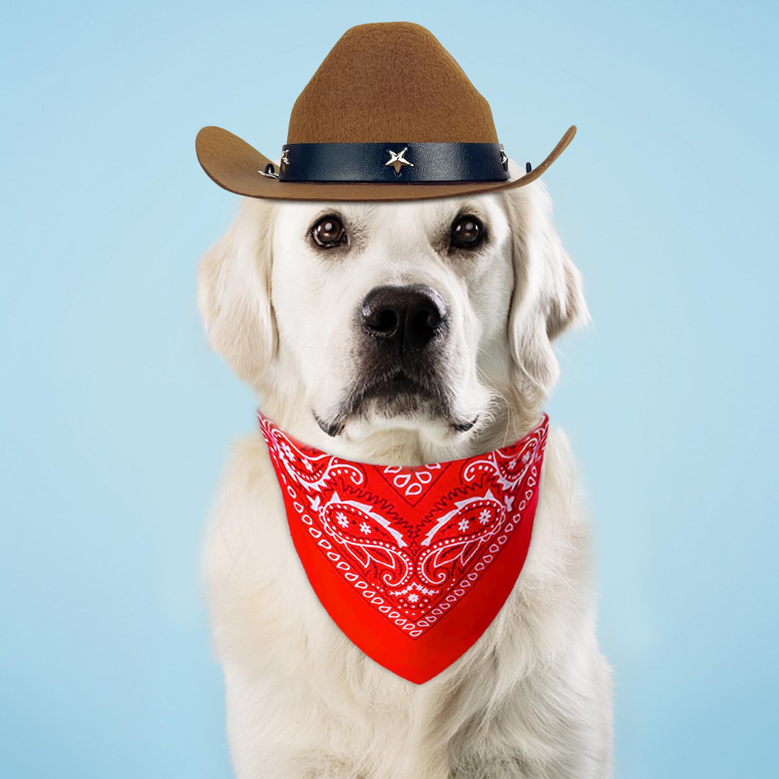 Funny Pet Cowboy Hat & Bandana Costume Set for Dogs & Cats - Western Cowboy Accessories for Halloween, Birthday Parties & Mexican Themed Events - Perfect for Daily Wear & Photo Shoots (Brown)