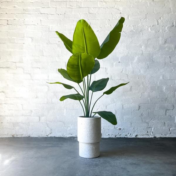Premium Artificial Bird of Paradise Plant - Lifelike 5ft Tall Faux Tropical Plant for Home & Office Decor - Perfect for Living Room, Patio, or Indoor Garden Decorations