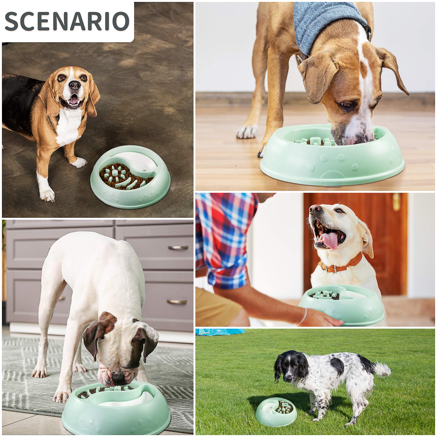 Whitenight Slow Feeder Dog Bowl - Anti-Gulping Interactive Pet Food Dish for Bloat Prevention, Non-Slip & Non-Toxic Healthy Design - Perfect for Fast Eaters, Mealtime Enrichment & Digestive Health (Green, 1 Count)