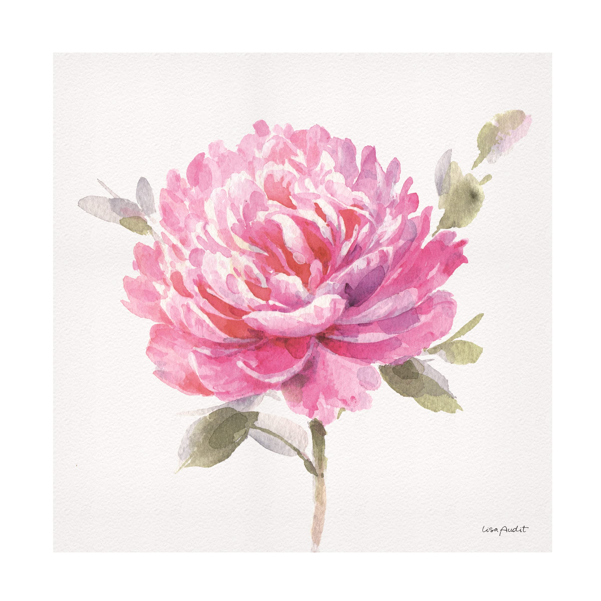 Lisa Audit 'Obviously Pink 03' Floral Canvas Wall Art Print - Modern Pink Flower Painting for Living Room, Bedroom & Office Decor