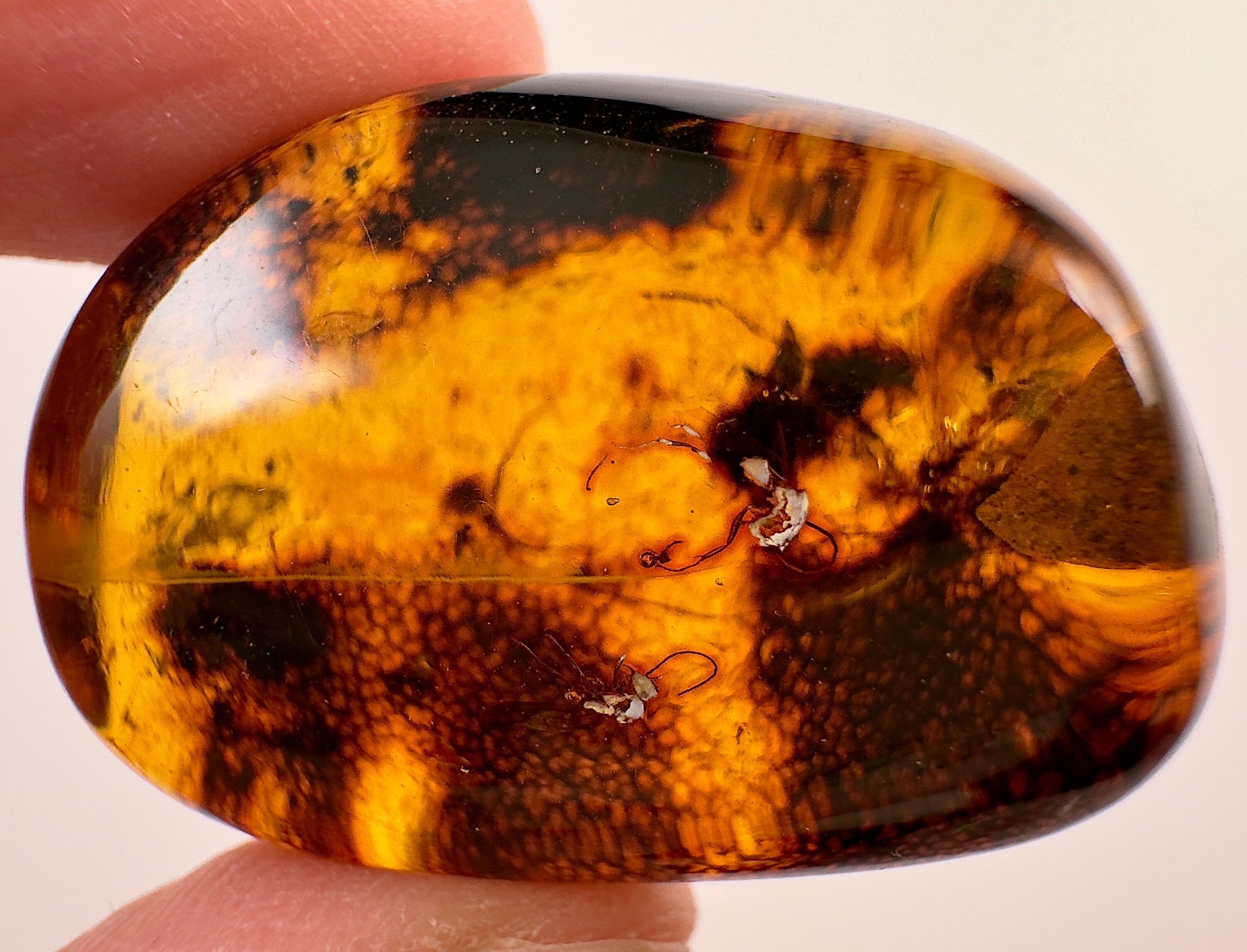 AMBER Stone with Real Insect Fossil - Polished Tumbled Crystals for Healing & Collection - Perfect for Jewelry Making, Meditation & Home Decor