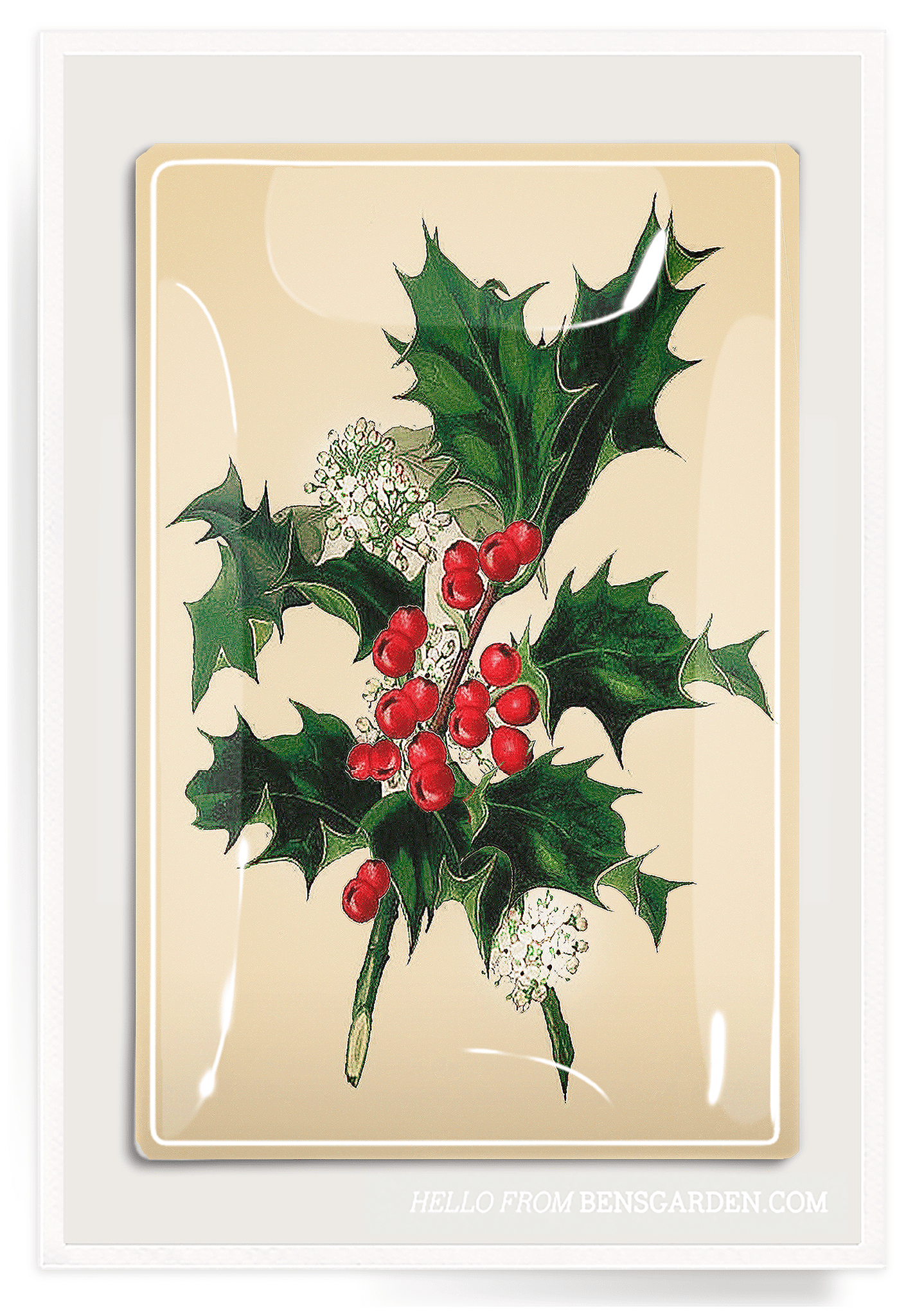 Holly and Berries Decoupage Glass Tray - Elegant Handmade Serving Tray for Holiday Decor, Dessert Display, and Home Decor | Perfect for Christmas, Weddings, and Gift Giving