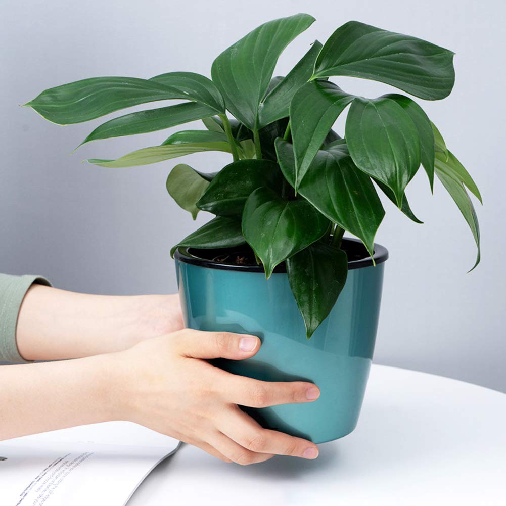 Eco-Friendly Plastic Double Wall Flower Pot Planter - Water Absorption Home & Garden Storage Container (Green) - Perfect for Indoor Plants, Balcony Gardening & Organizing Small Items