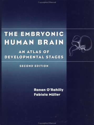 The Embryonic Human Brain: An Atlas of Developmental Stages | Neuroscience Research & Medical Education Reference | Perfect for Students, Researchers & Healthcare Professionals