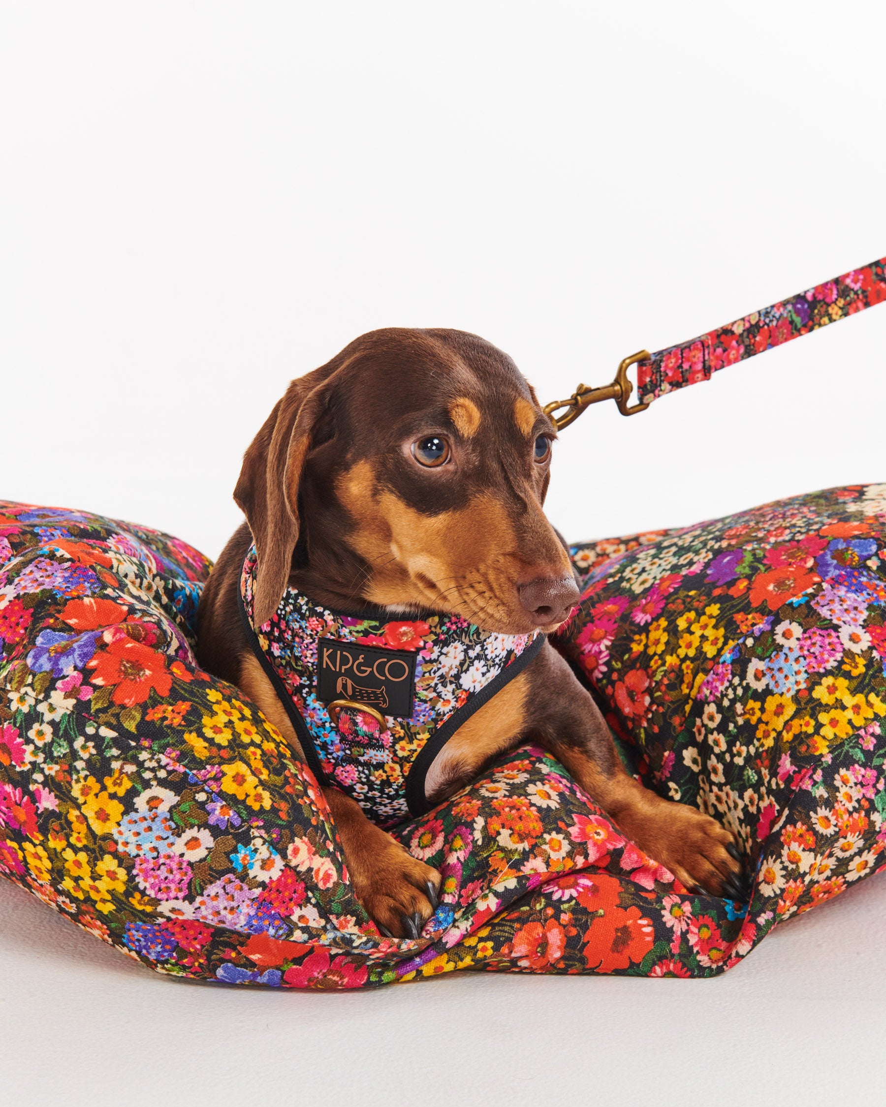Forever Floral Black Dog Lead - Durable and Stylish Dog Leash for Small to Medium Dogs - Perfect for Walks, Training, and Outdoor Adventures