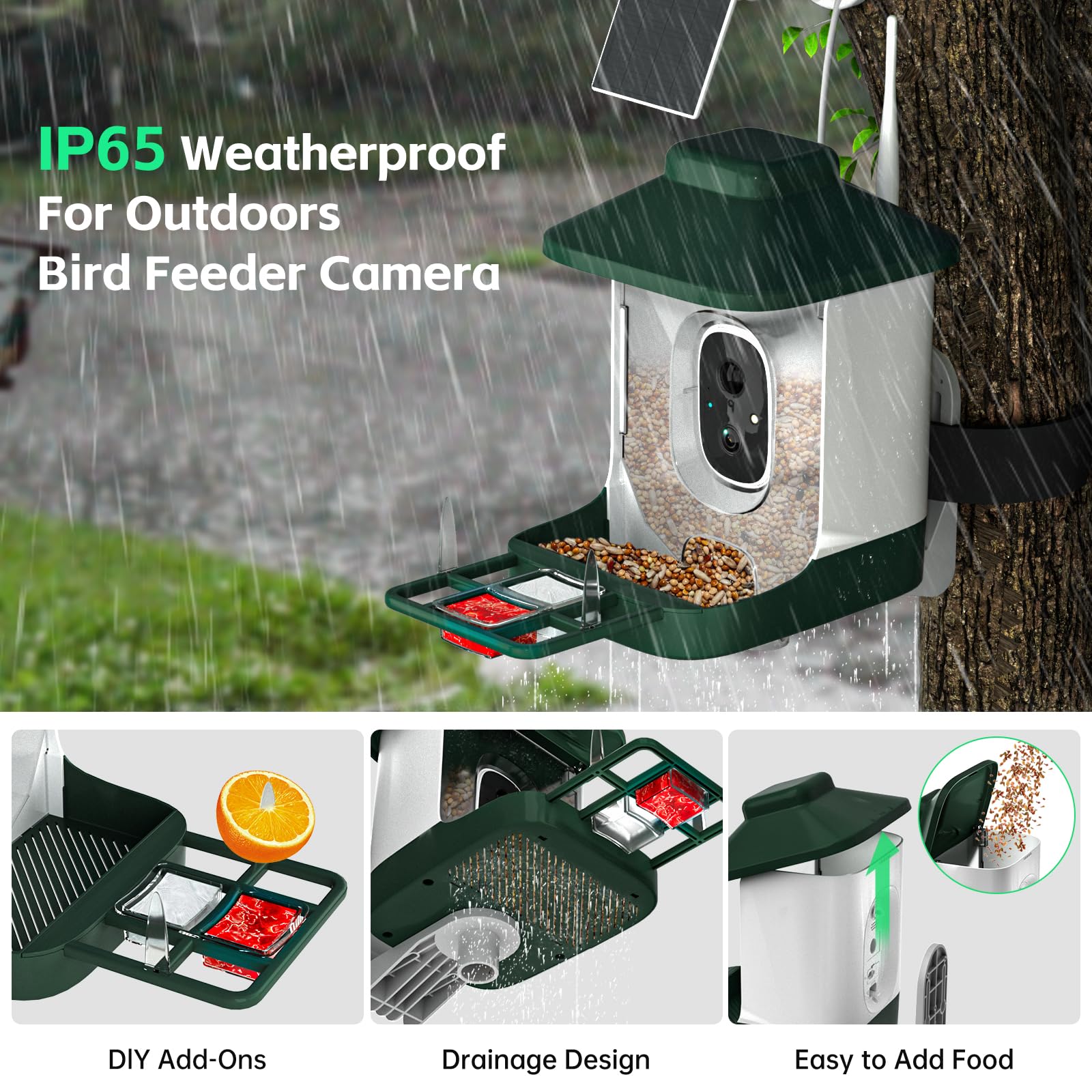 1 Year AI Smart Bird Feeder with Camera - Solar Powered 1080p Live Video, AI Bird Species Identification, 2.4Ghz WiFi & Instant Arrival Alerts - Perfect Gift for Bird Watchers & Nature Lovers - Ideal for Backyard Birdwatching, Wildlife Monitoring & Outdoor Enthusiasts