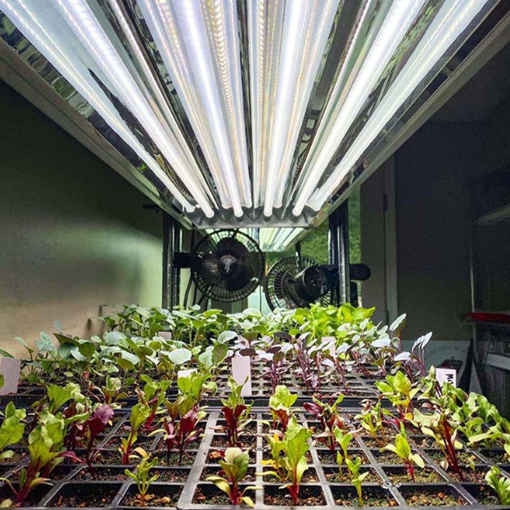 Active Grow T5 High Output 4FT LED Grow Light Bulb - 24W Full Spectrum Sun White Light with CRI 95 for Indoor Plants, Vegetables, Blooming, Leafy Greens & Microgreens - Plug & Play (4-Pack) - Perfect for Hydroponics, Greenhouses & Indoor Gardening